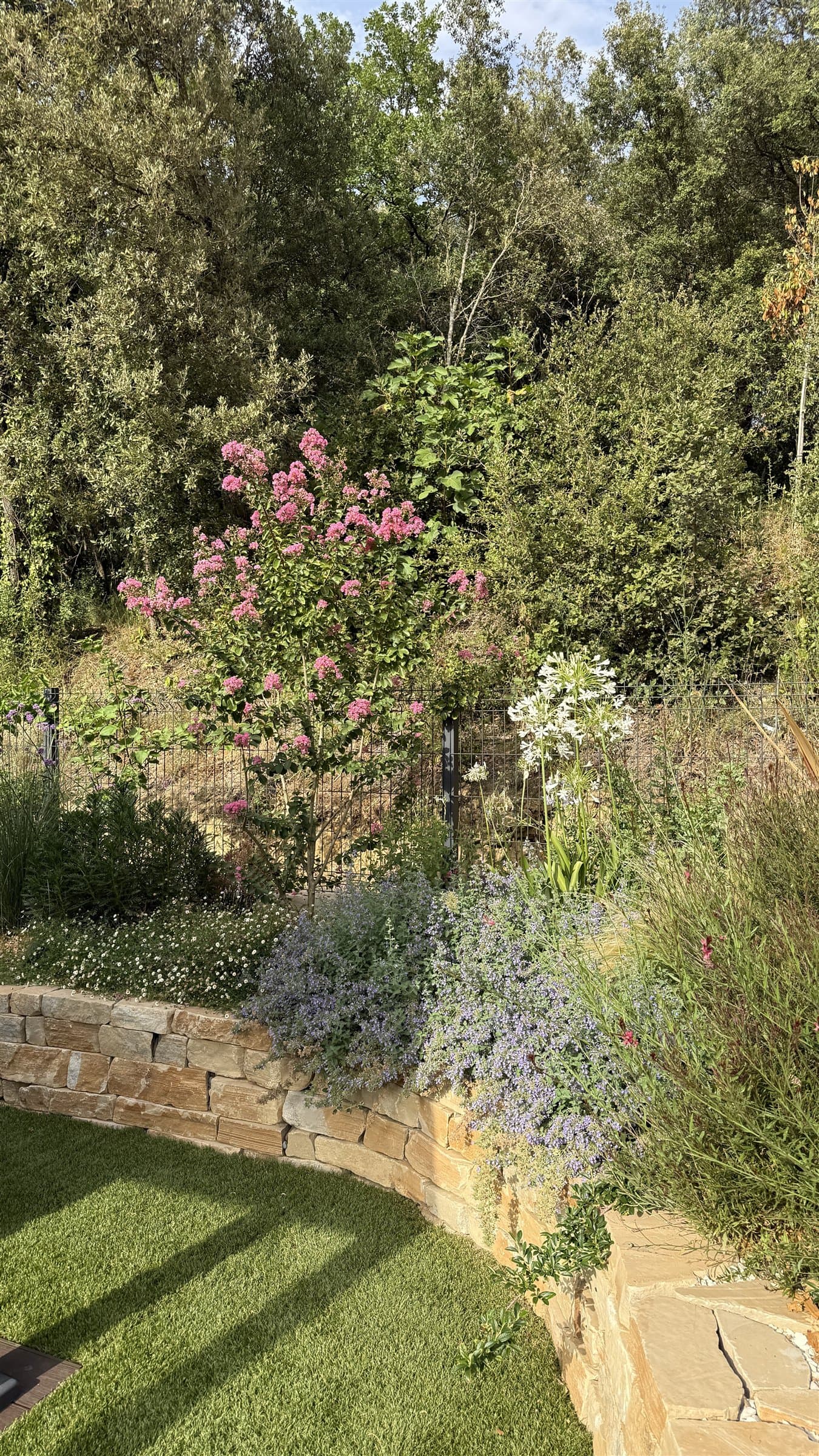 Parterre elevat de pedra amb floració mediterrània