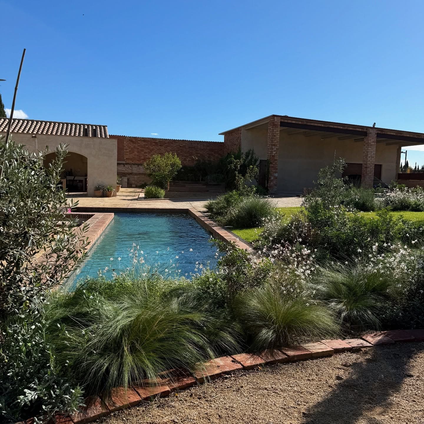 Jardí mediterrani amb piscina, oliveres i plantació ornamental creat per MG Jardiners