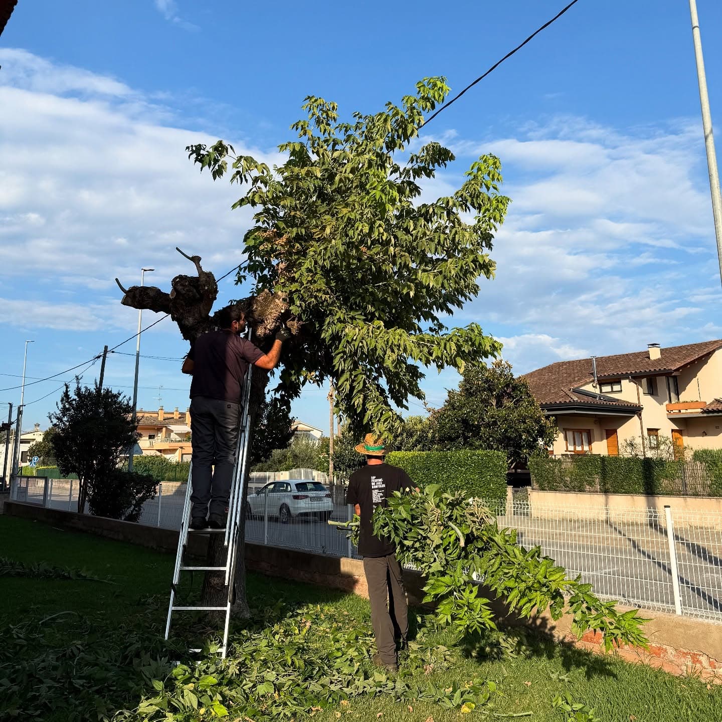 Equip de jardiners realitzant una poda professional