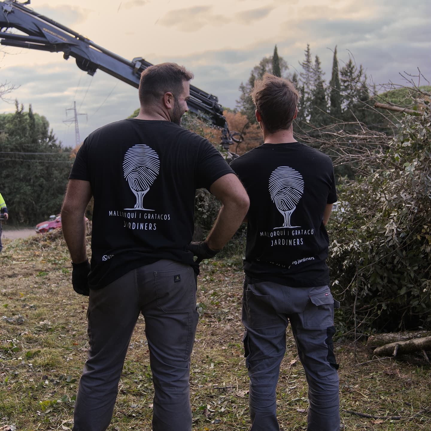 Equip de MG Jardiners durant una feina de poda i neteja d'arbrat